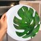 8 Ct. Palm Leaf Paper Dessert Plates 7" Disposable Plates,Tropical Luau Party Supplies